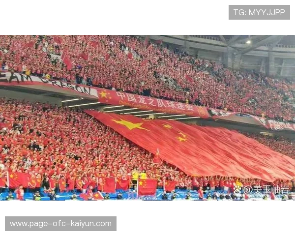 世界杯将强化球迷安检流程，新增细粒度分类检测